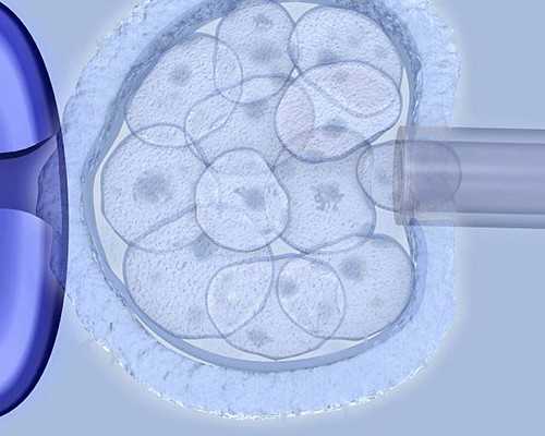 试管卵泡标准！试管卵泡标准揭晓！~试管代怀孕