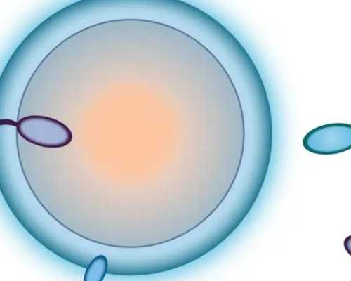 武汉去代怀费用,武汉供卵借卵多少钱,武汉同济医院供卵多少钱