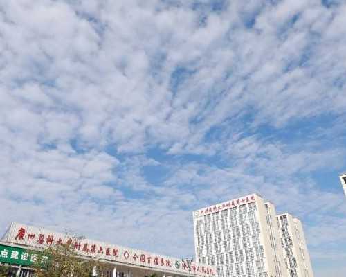 胎儿性别什么时候形成?-代怀套餐