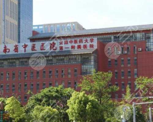 泰国试管婴儿真的值得信赖吗?~代怀助孕套餐