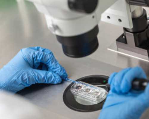 子宫内膜为什么会长息肉？~代怀子机构