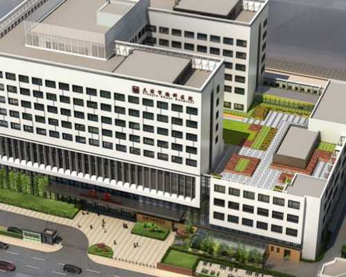 孕妇可以吃鱼翅吗