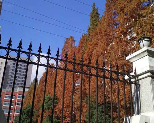 雌激素高怎么降下来-借卵代孕服务