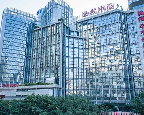 武汉助孕成功率,武汉供卵代孕包性别是真的吗？是怎么生儿子的呢？