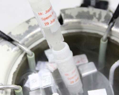 武汉借卵中介,武汉同性在哪里可以做供卵代孕婴儿-正规助孕医院