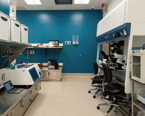 胎梦一般只在怀孕初期的时候出现吗？