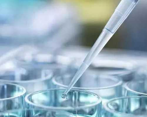 上海囊胚移植后能吃三文鱼吗！囊胚移植后可以吃鱿鱼吗！-找捐卵子试管