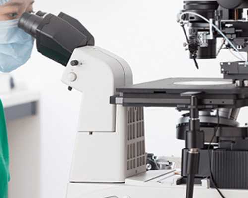 「冻胚移植」冻胚移植失败后再移植的时间~助孕试管机构