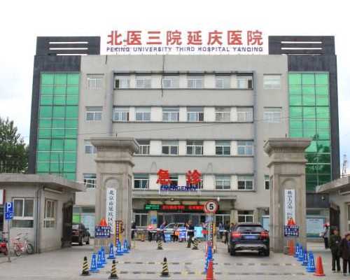 湖北道教修仙方法,招桃花：什么植物招桃花运