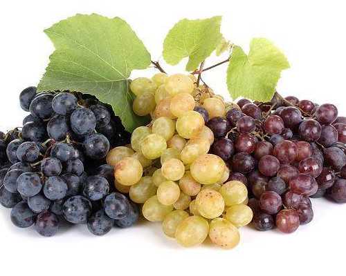 福州寺庙2026招聘,超度亡灵:《地藏王菩萨超度心咒》诵此咒超越三十劫罪